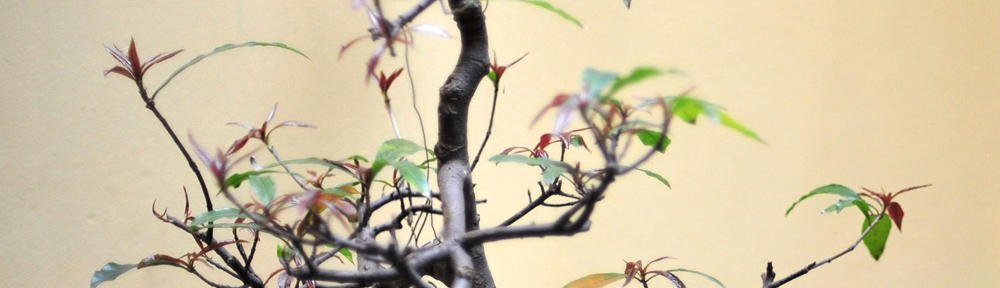 5J Allerton CE Primary, Leeds